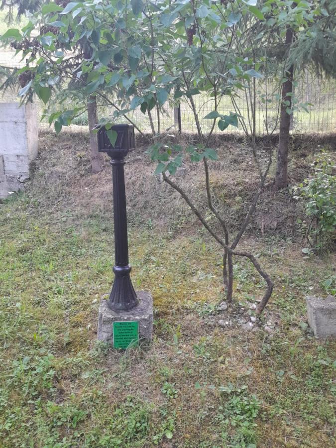 Pensiunea Simina Viseu de Jos Ngoại thất bức ảnh
